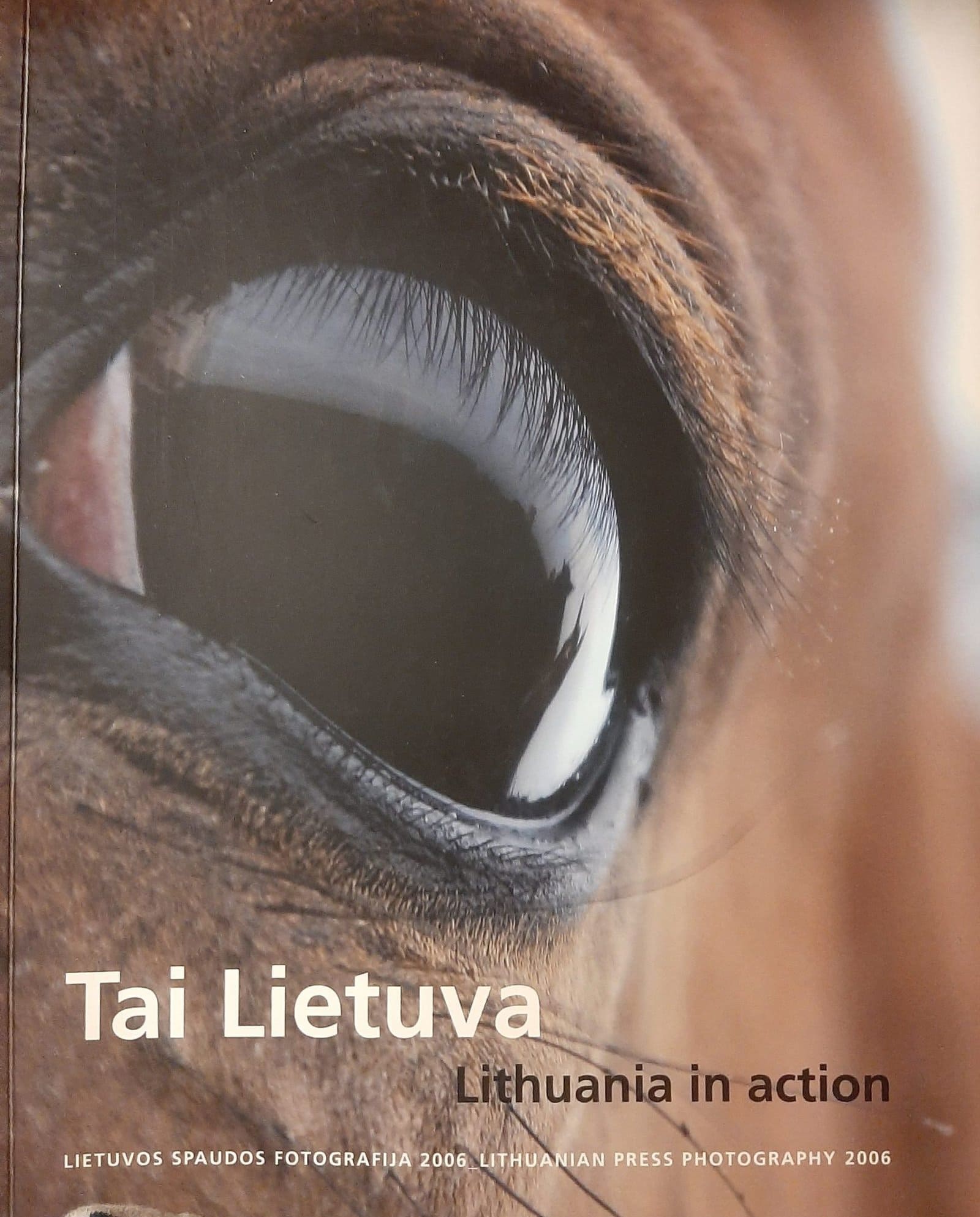 Tai Lietuva. Lithuania in action
