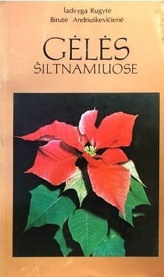 Gėlės šiltnamiuose