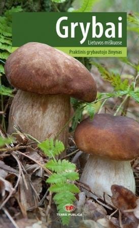 Grybai Lietuvos miškuose