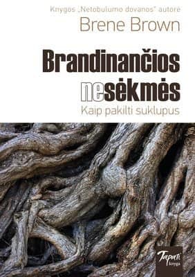 Brandinančios nesėkmės
