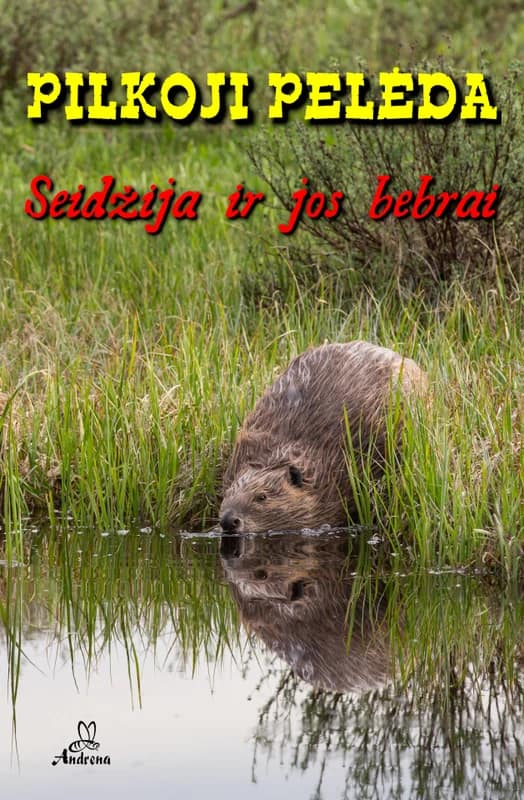 Seidžija ir jos bebrai