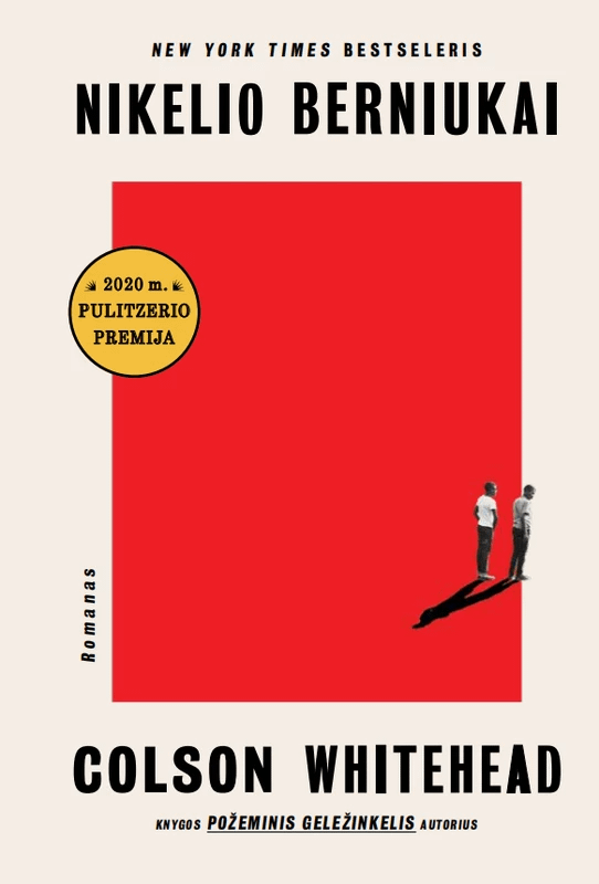 Nikelio berniukai (nedideli viršelio defektai)