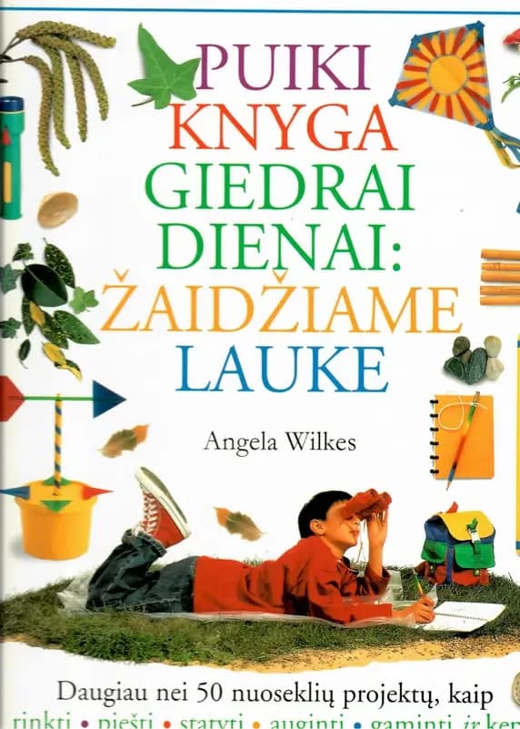 Puiki knyga giedrai dienai: žaidžiame lauke